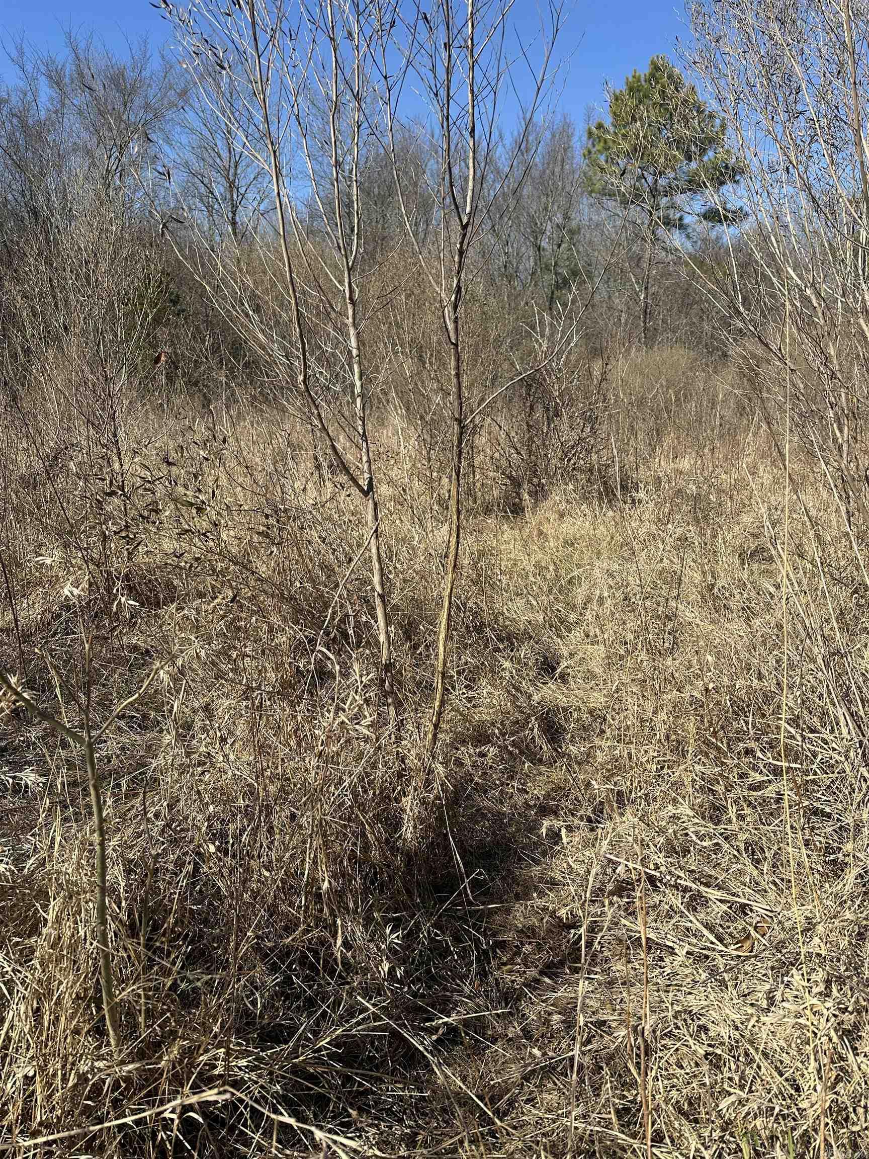 000 Holman Ln.  North Little Rock, AR