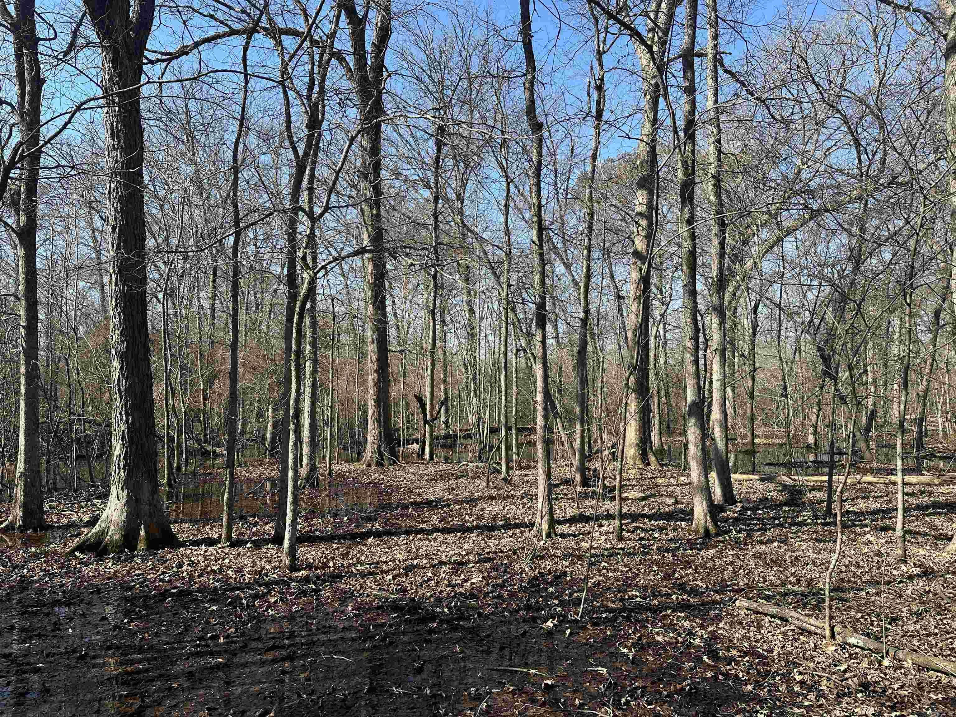 000 Holman Ln.  North Little Rock, AR