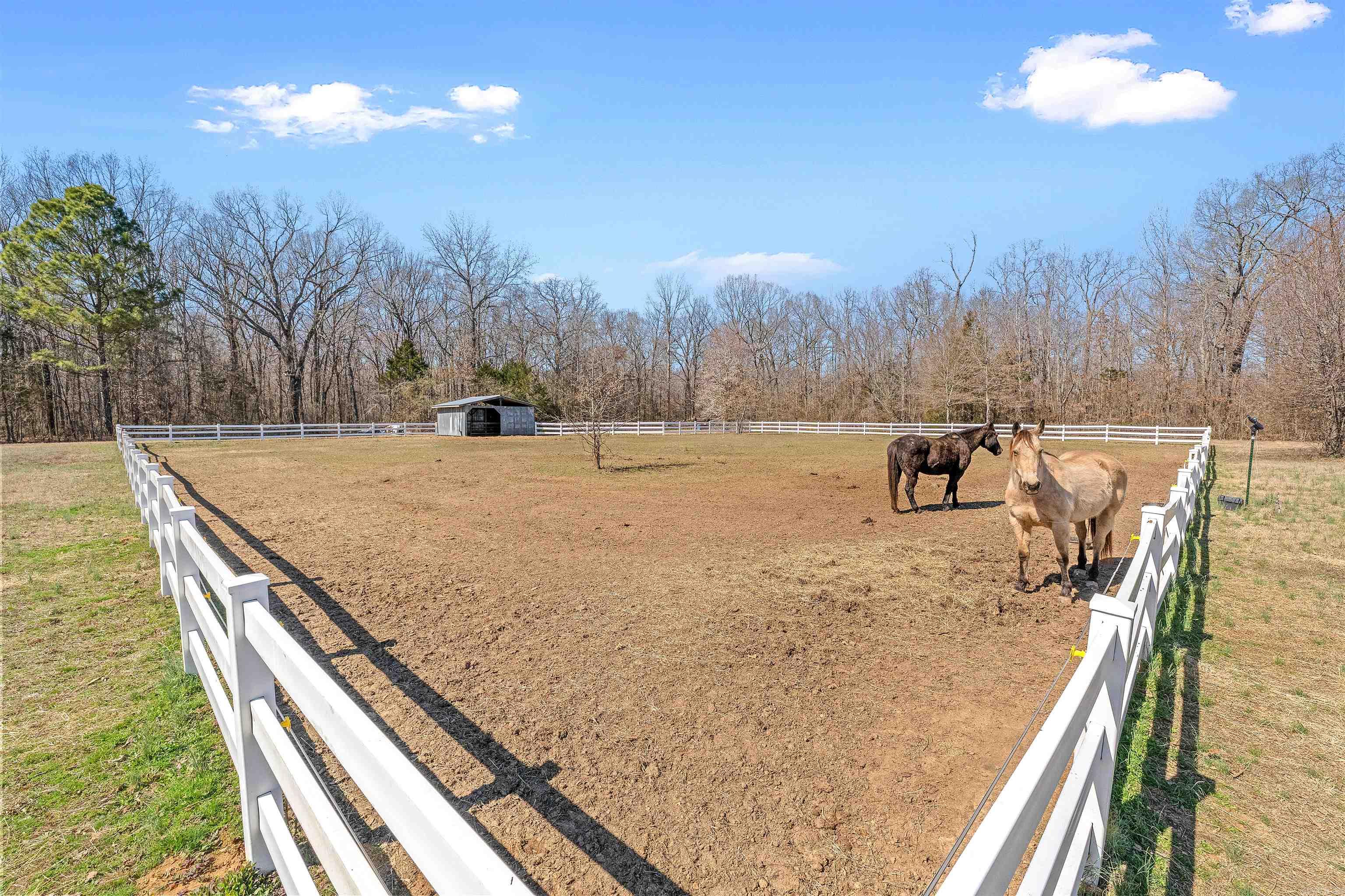 236 Bear Drive  Austin, AR