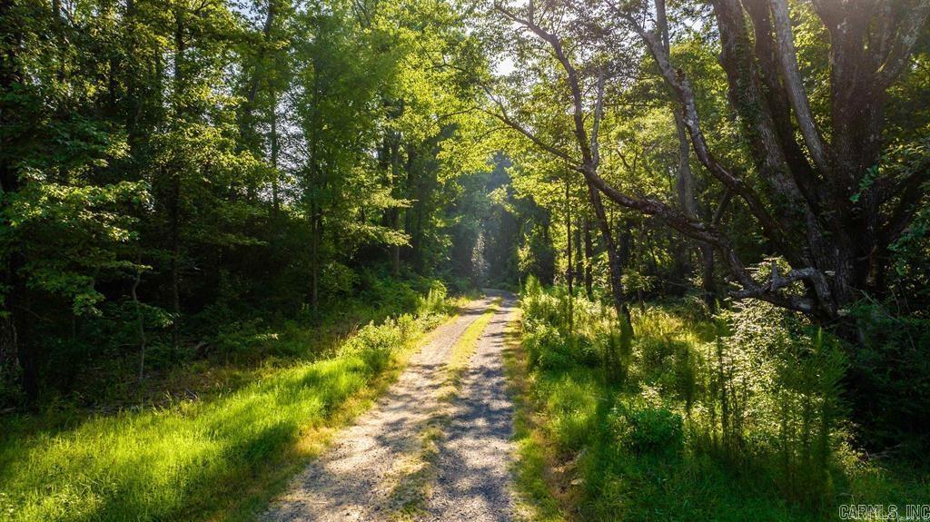 236 Bear Drive Austin, AR 72007