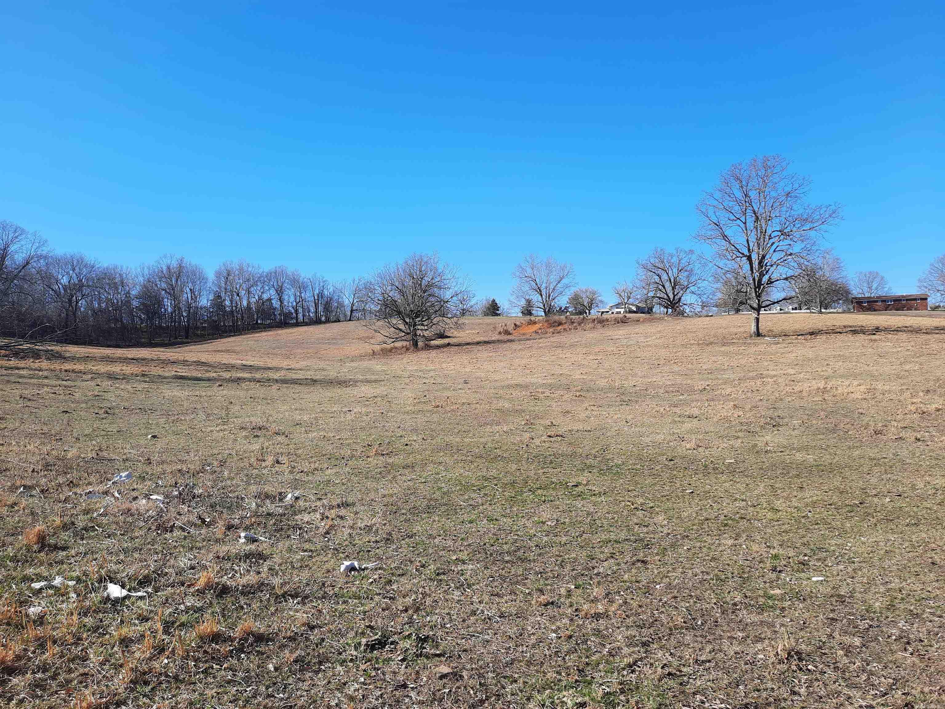 111 Robinson  Mammoth Spring, AR