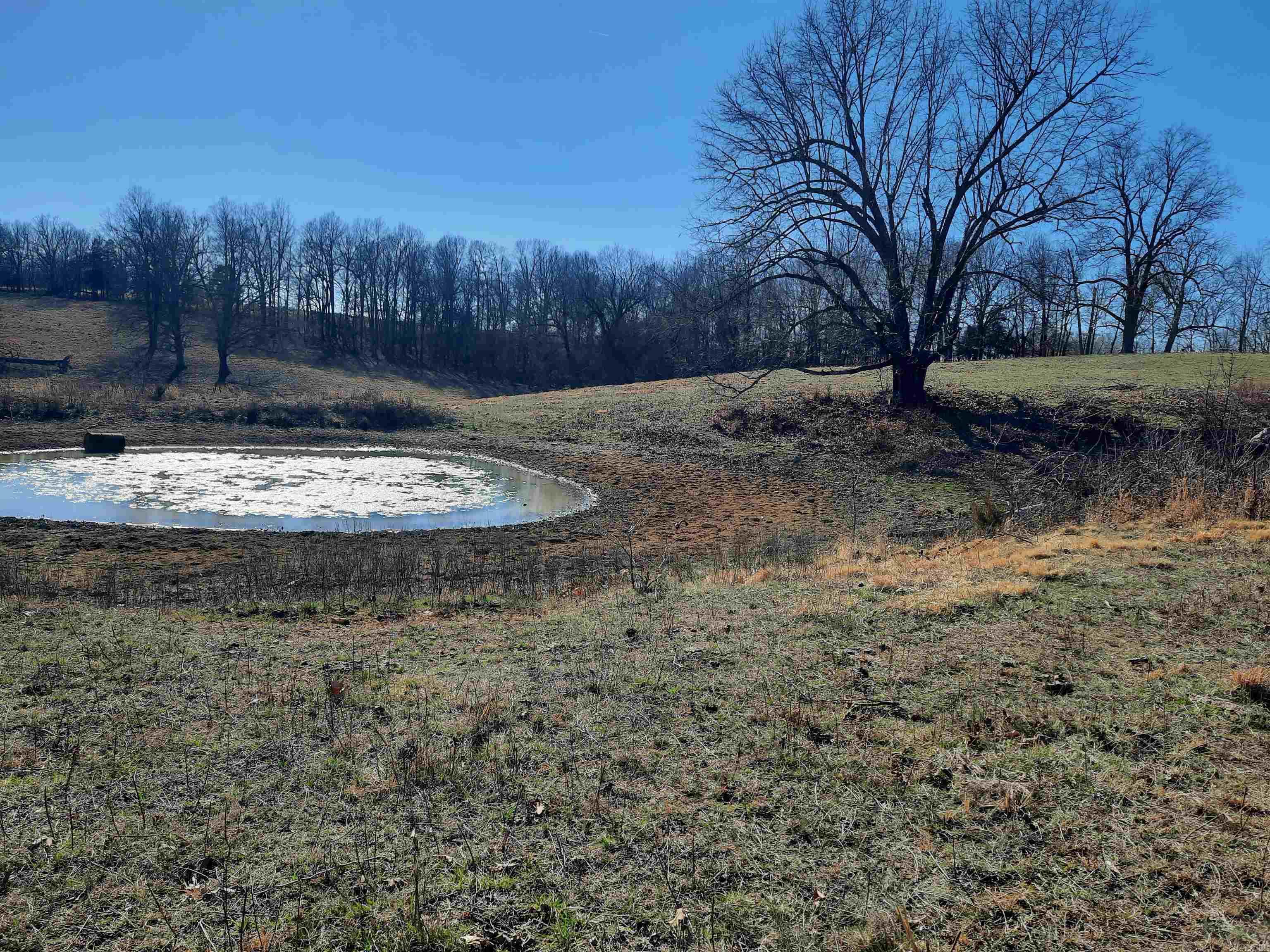 111 Robinson  Mammoth Spring, AR