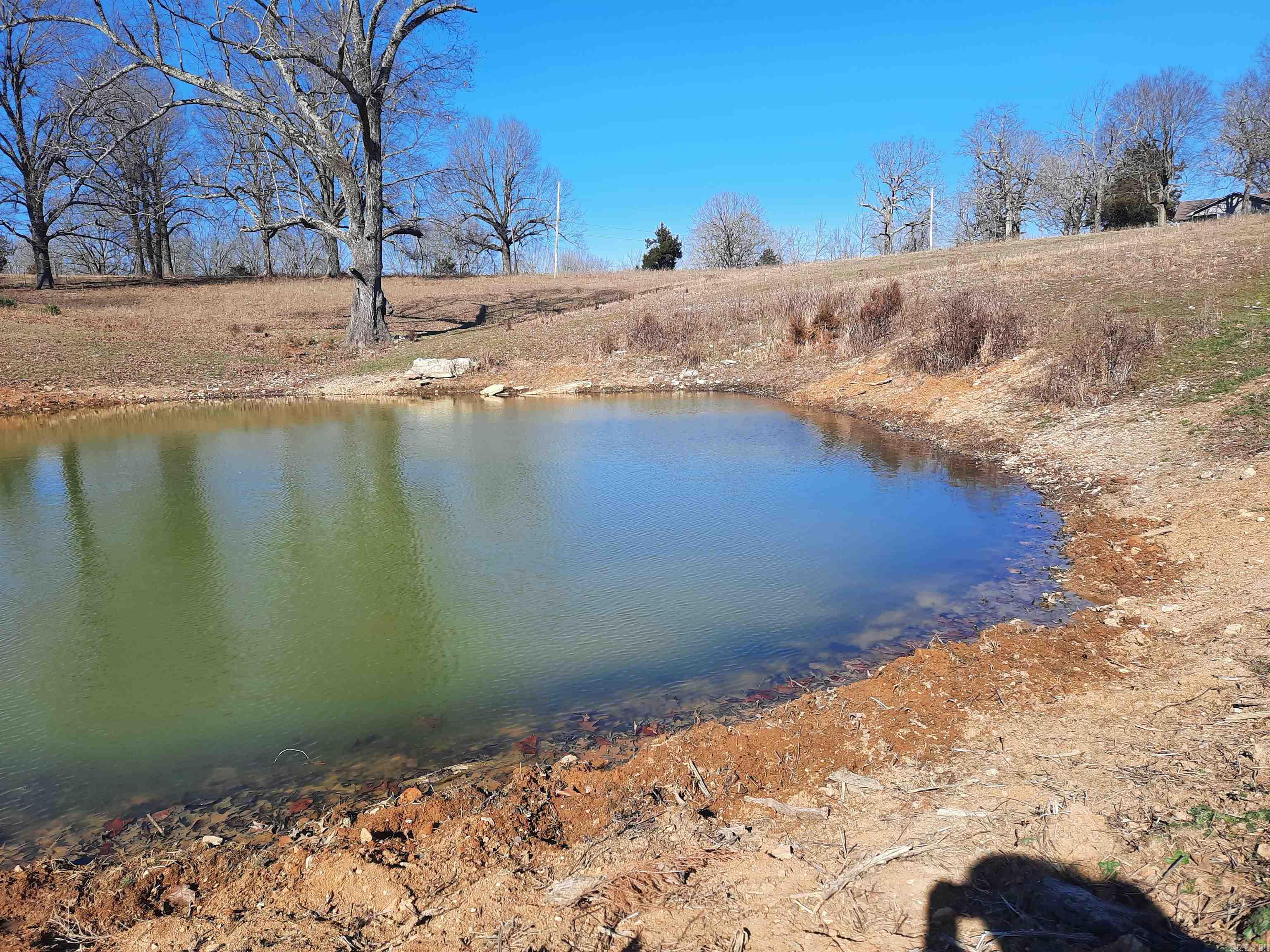 111 Robinson  Mammoth Spring, AR