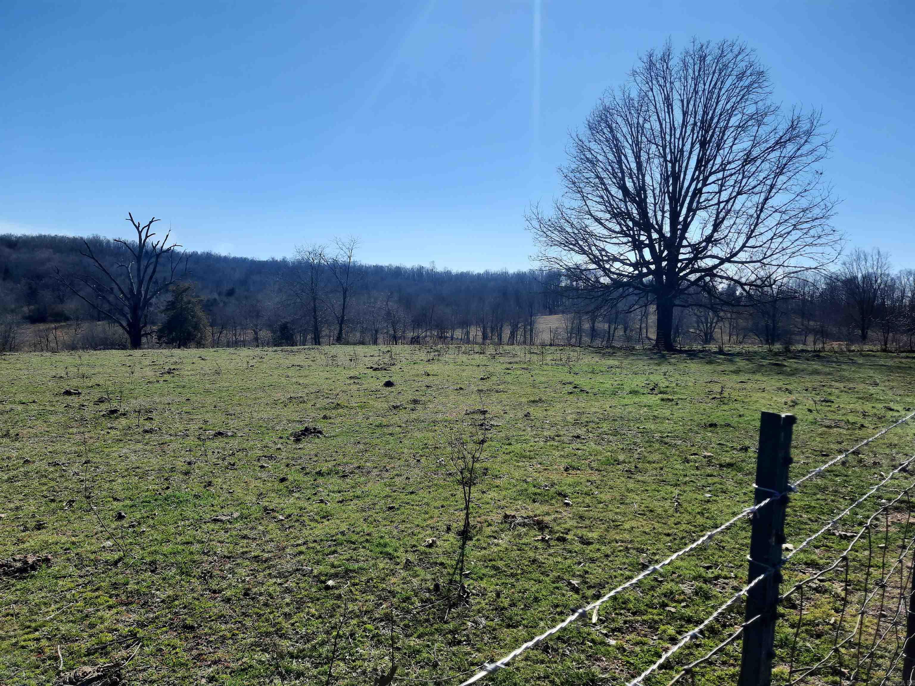 111 Robinson  Mammoth Spring, AR