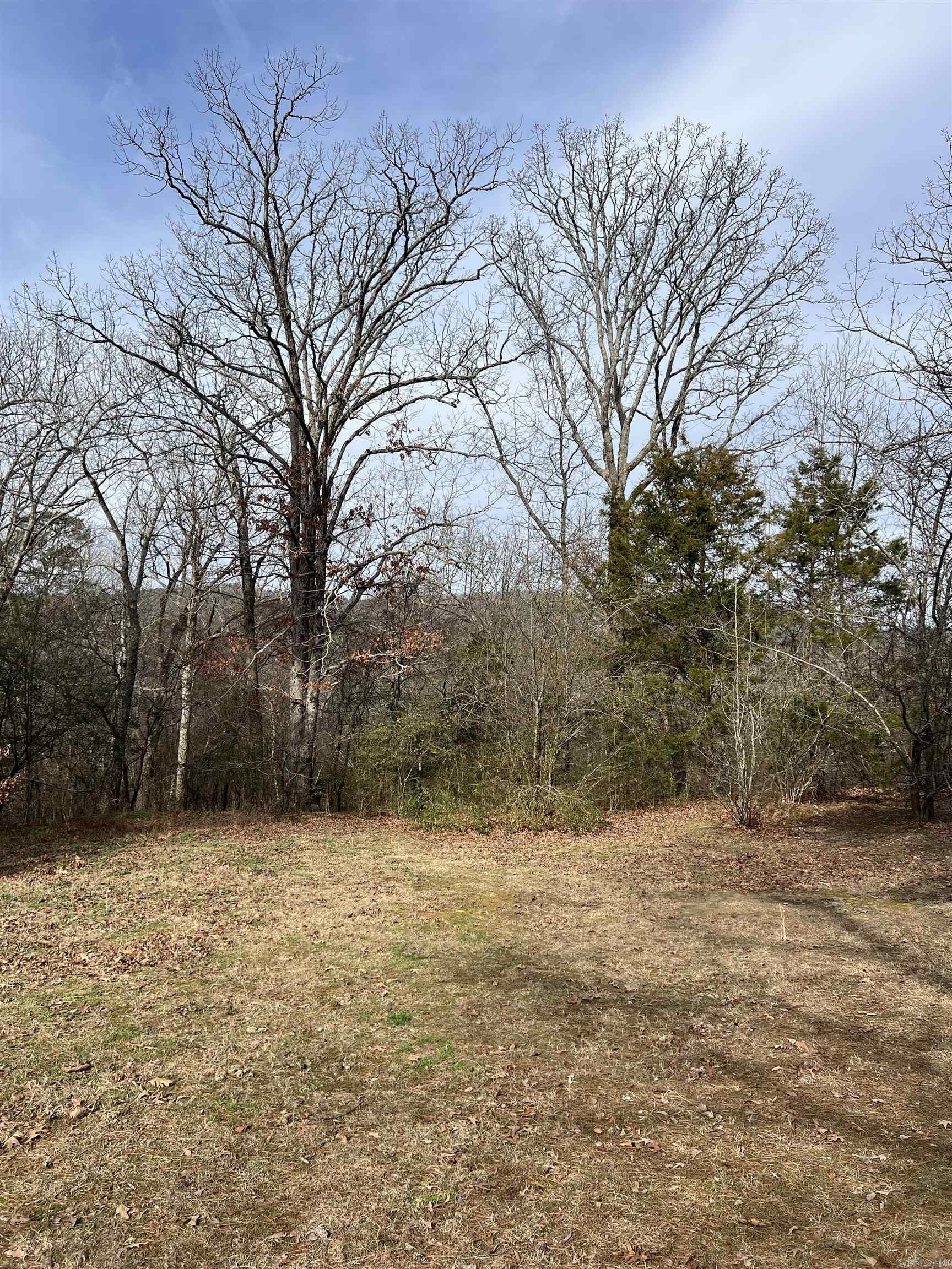 305 Polk Road 76 W  Mena, AR