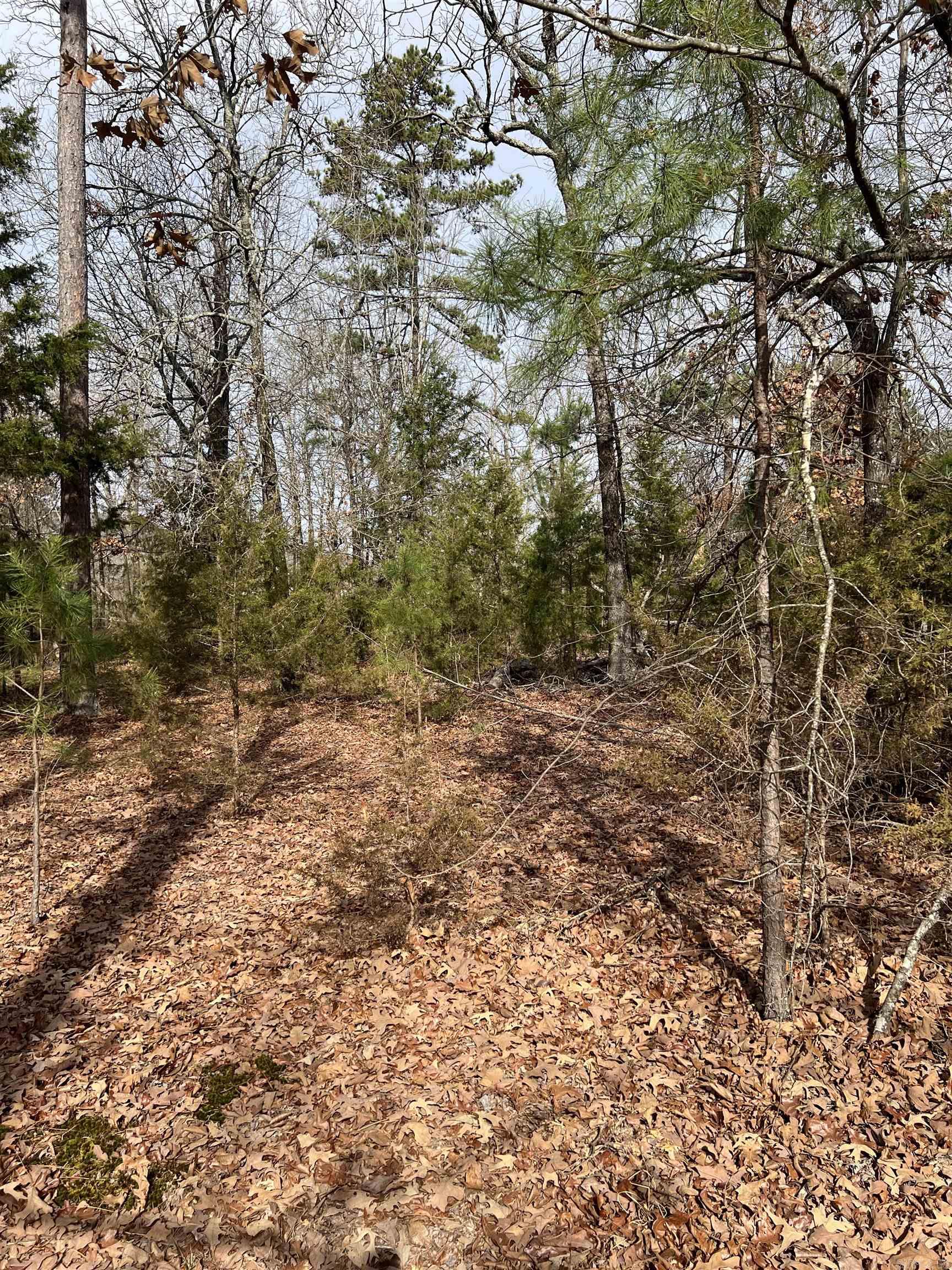 305 Polk Road 76 W  Mena, AR