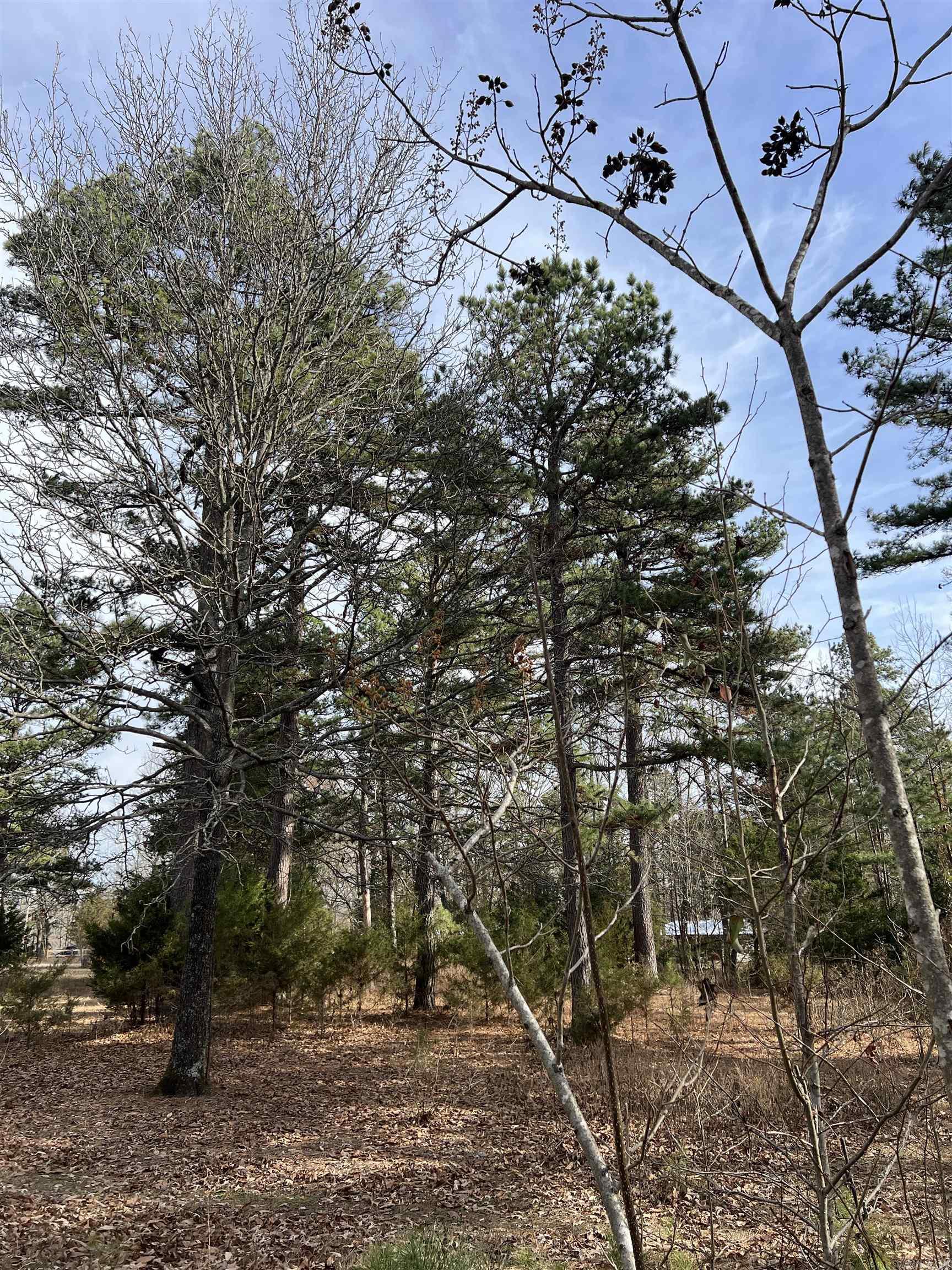 305 Polk Road 76 W  Mena, AR