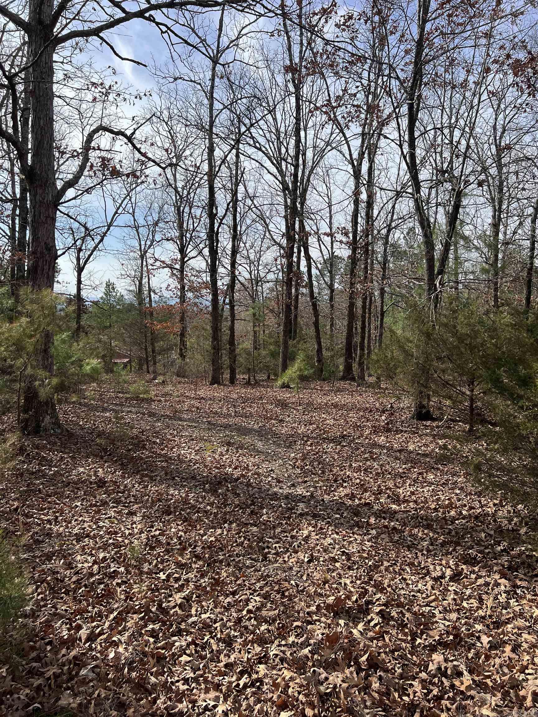 305 Polk Road 76 W  Mena, AR