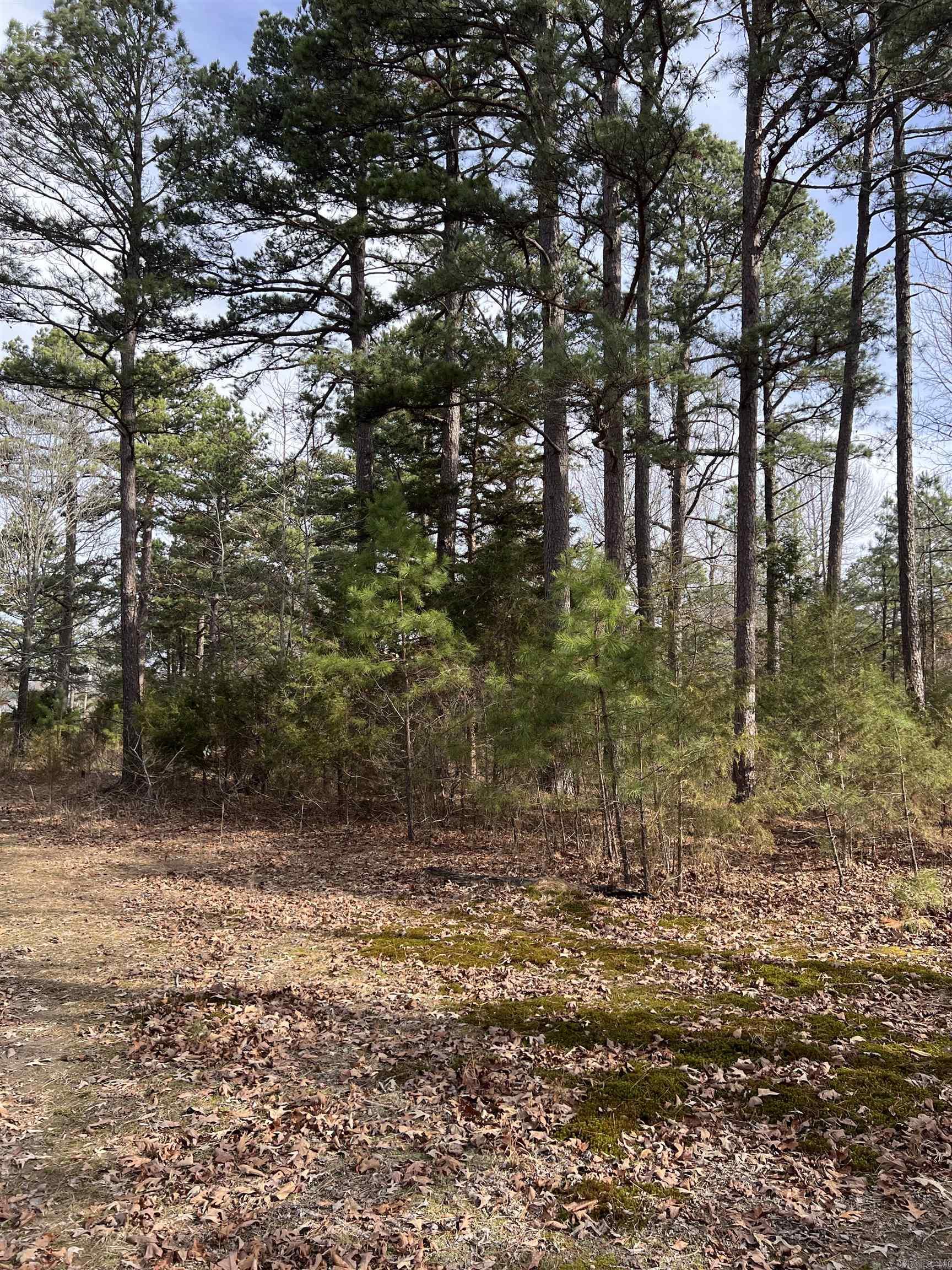 305 Polk Road 76 W  Mena, AR