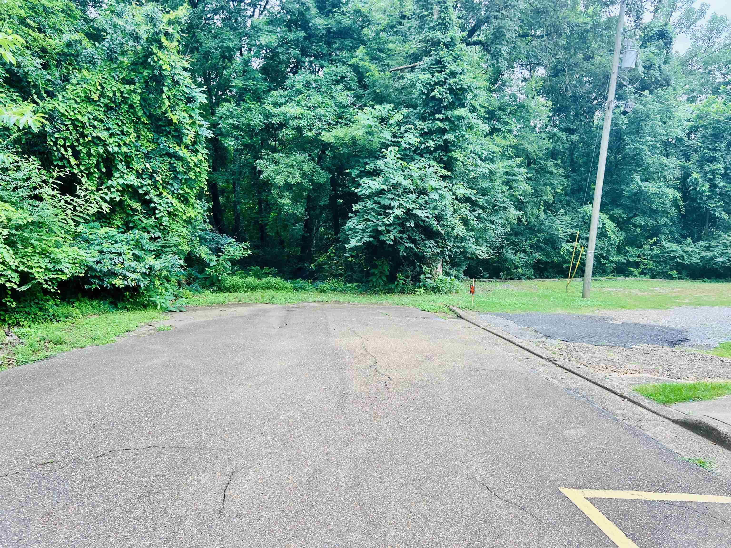 227 S Austin  Arkadelphia, AR