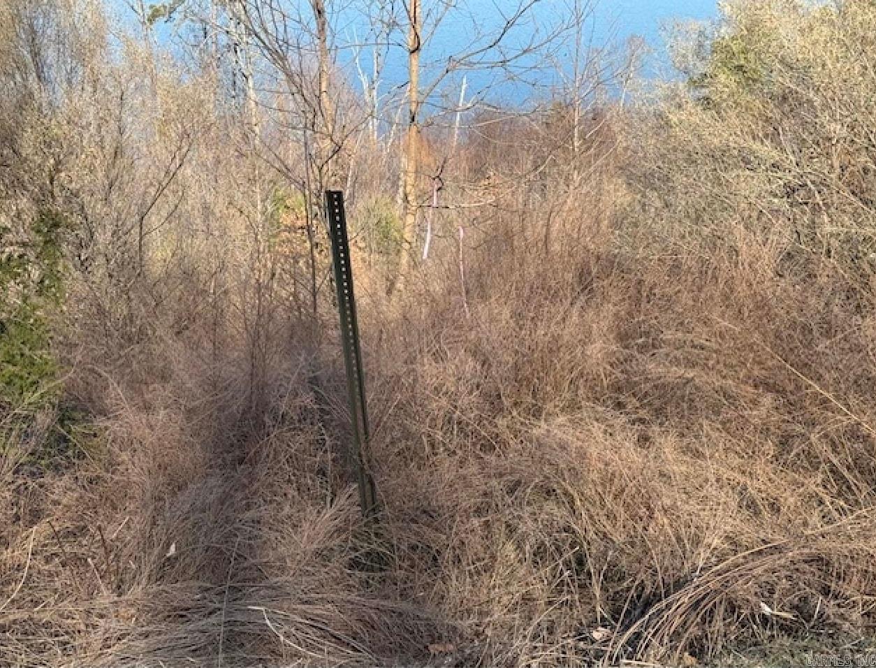 Lot 139 & 140 Lakefront Road  Quitman, AR