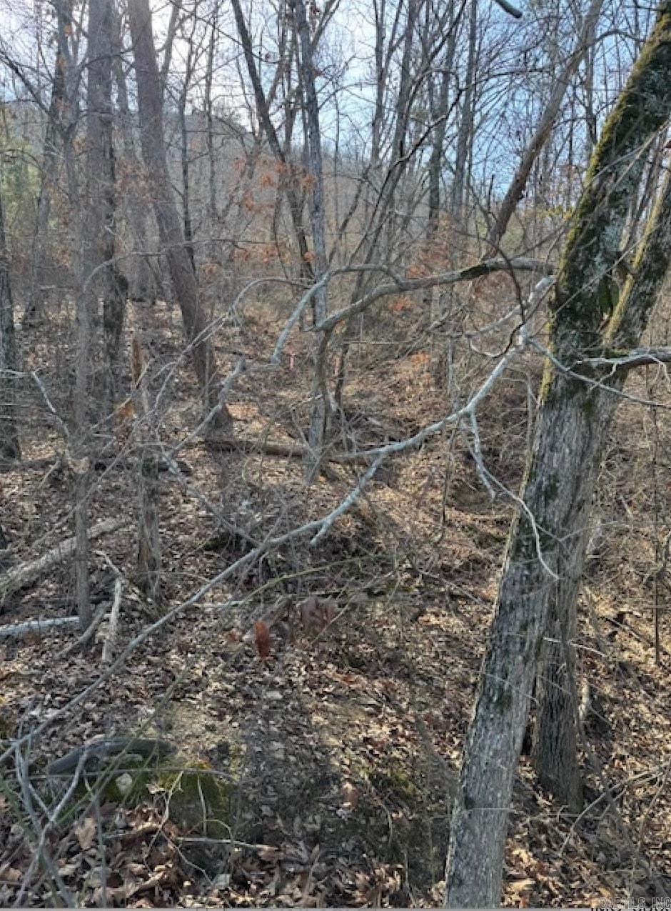 Lot 139 & 140 Lakefront Road  Quitman, AR