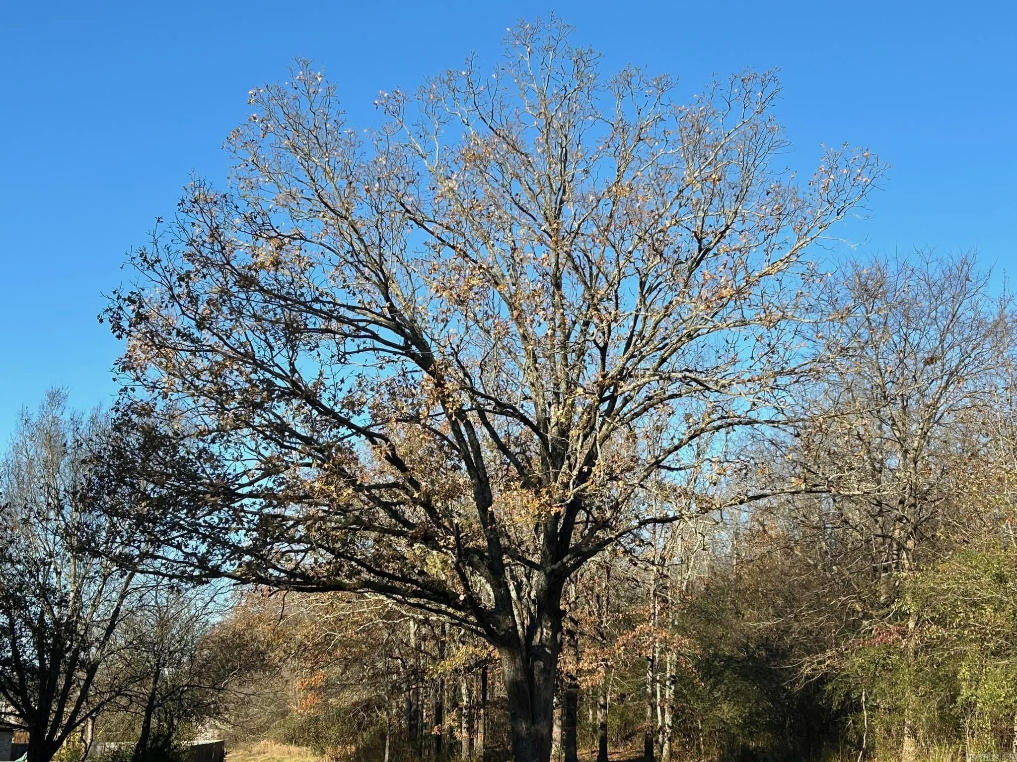 00 Batesville Pike  Sherwood, AR