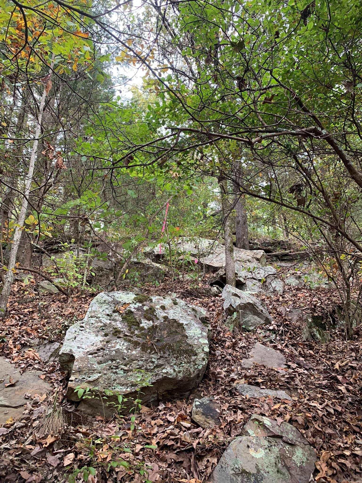 00 Ward  Greenbrier, AR