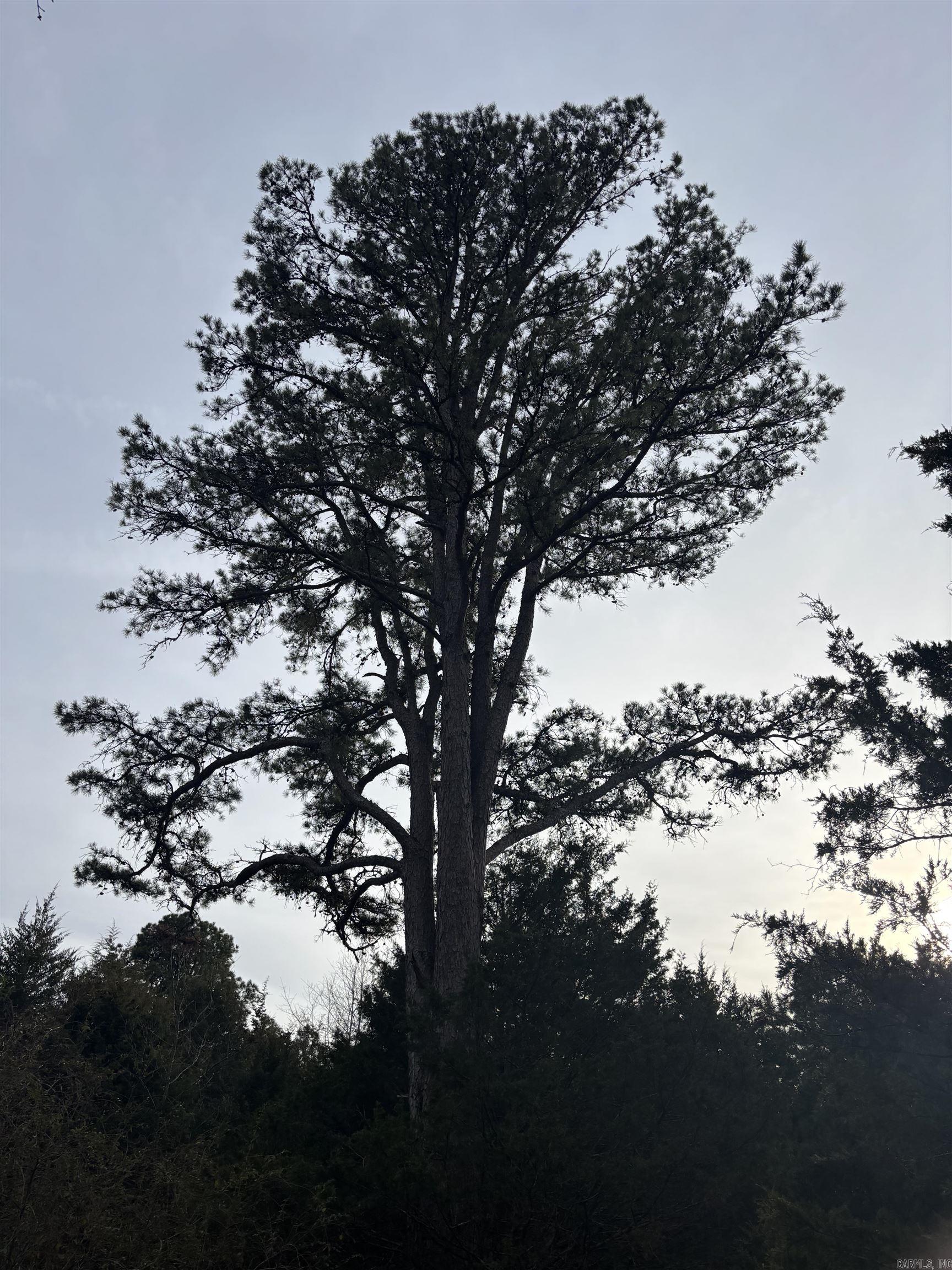 4475 4475 Heber Springs Road W  Quitman, AR