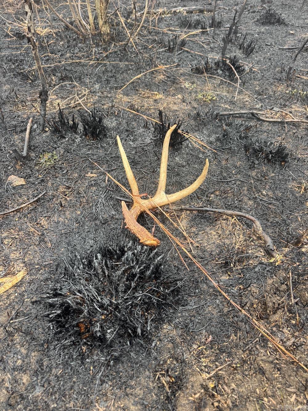 13949 Bear Creek Drive  Harrison, AR