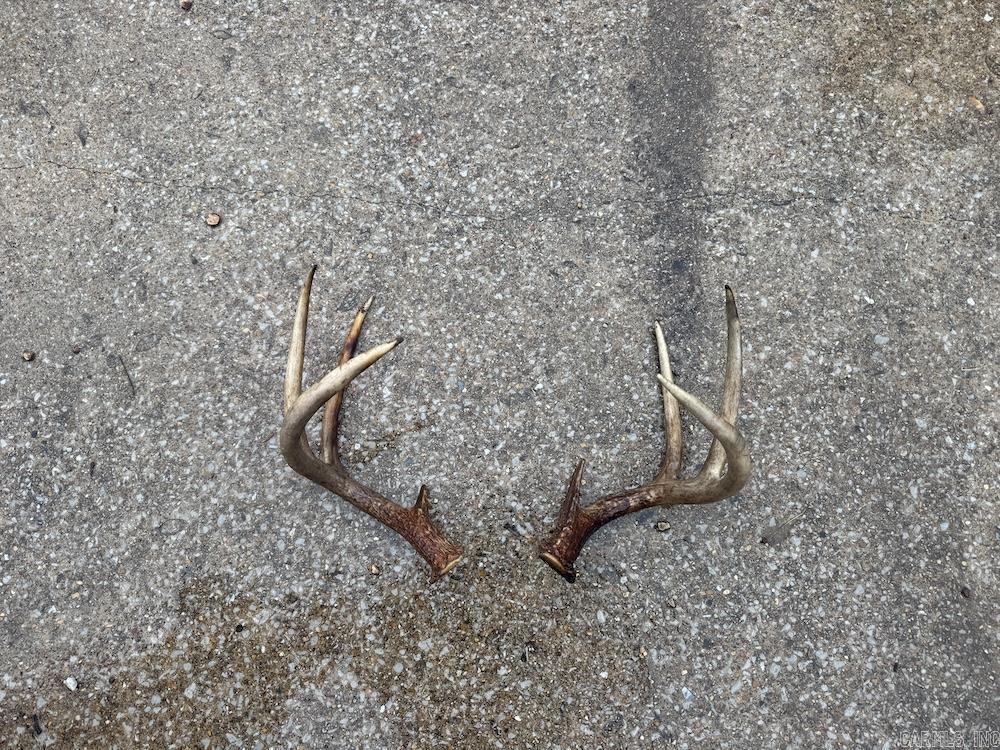 13949 Bear Creek Drive  Harrison, AR