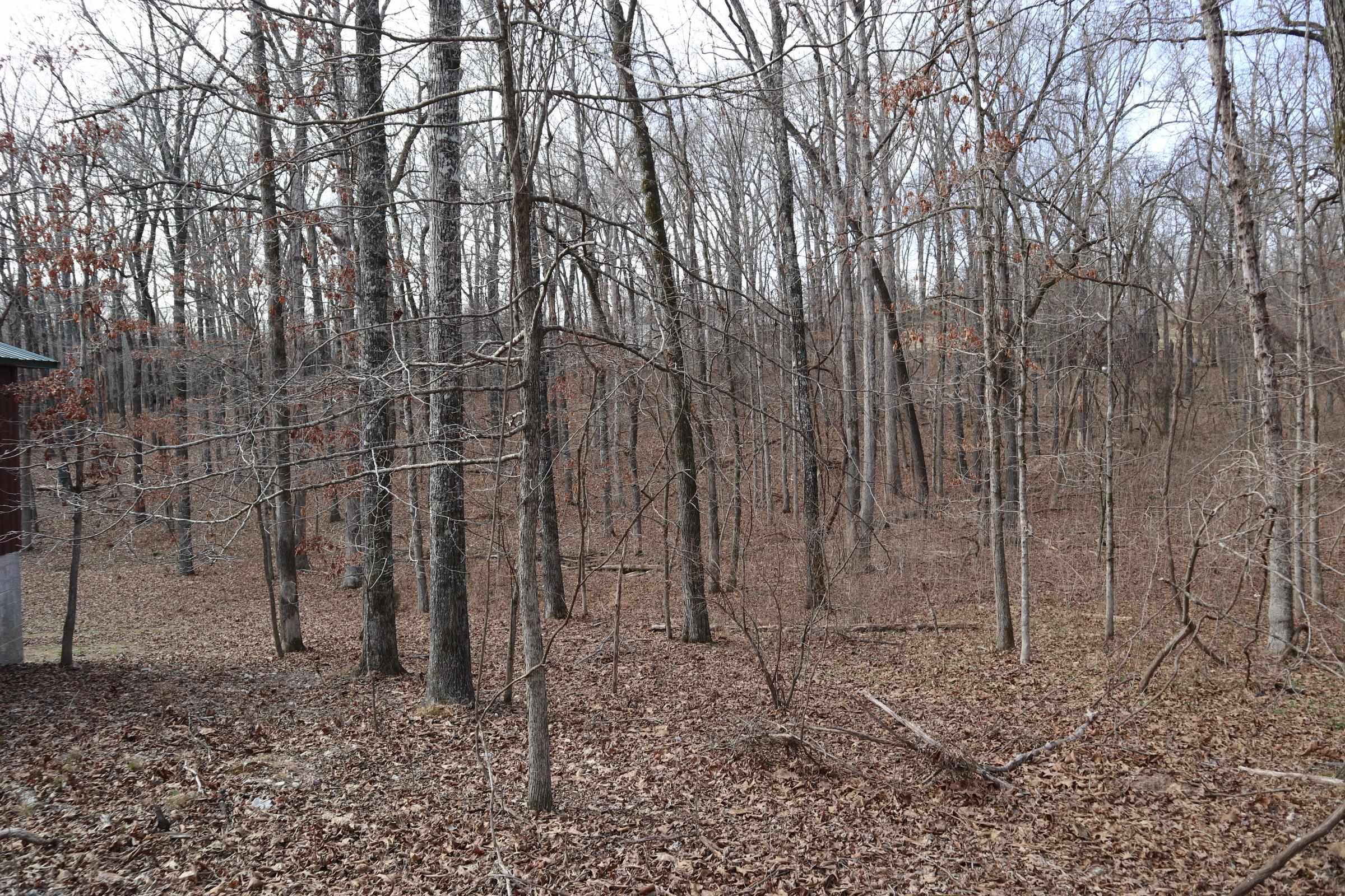 TBD Great Woods Rd  Mammoth Spring, AR