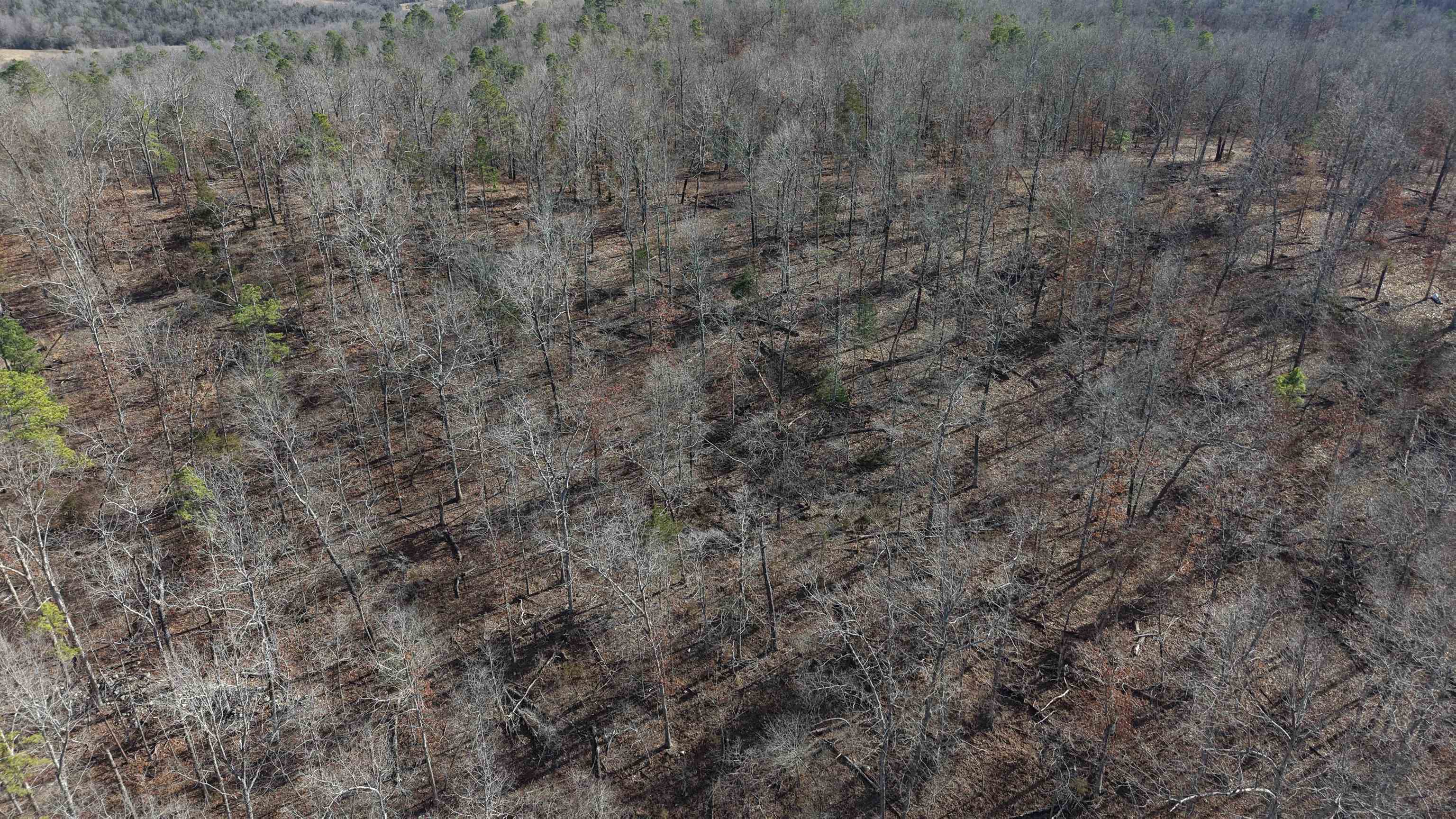 123 Campground Road  Wideman, AR