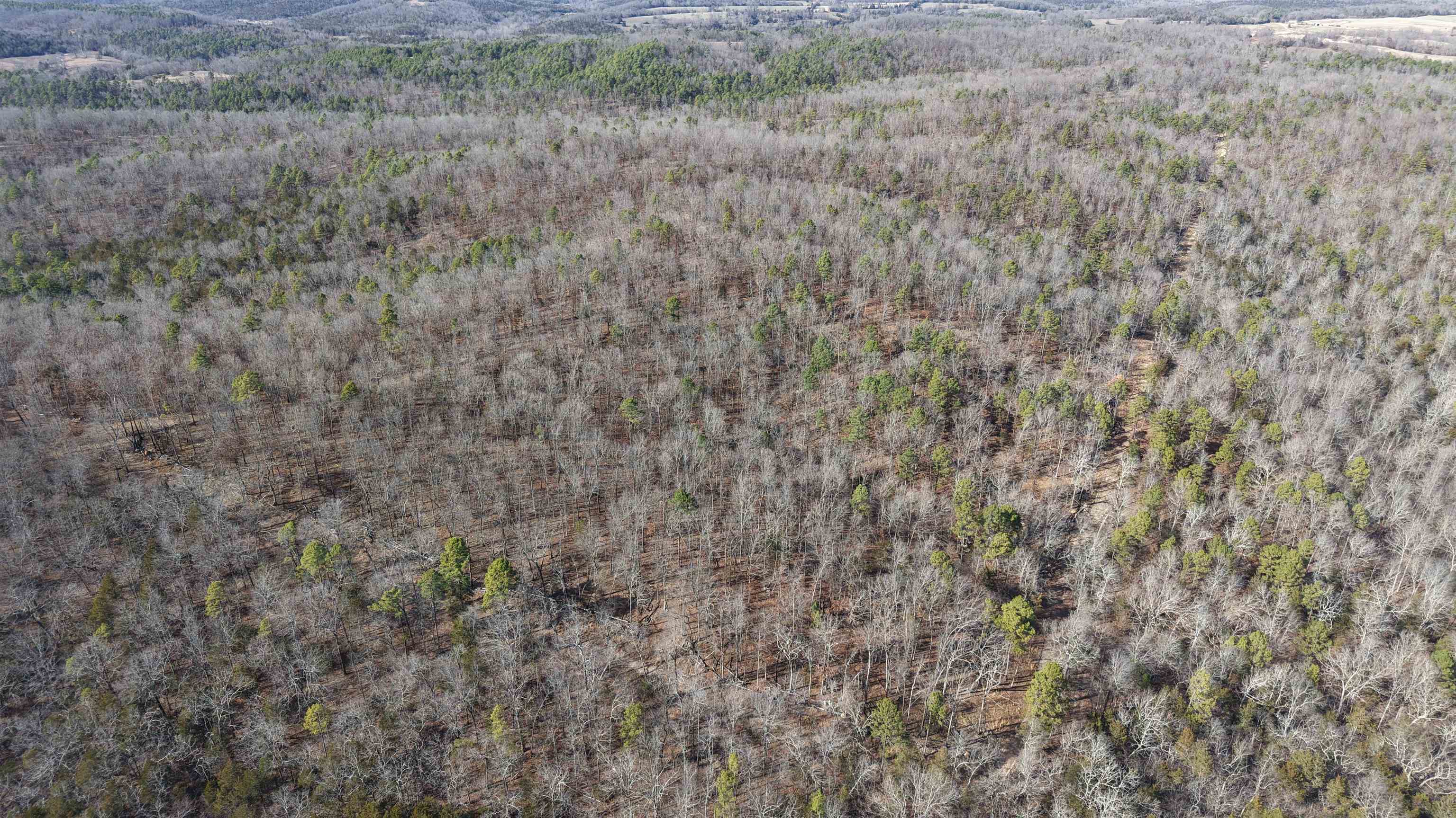 123 Campground Road  Wideman, AR