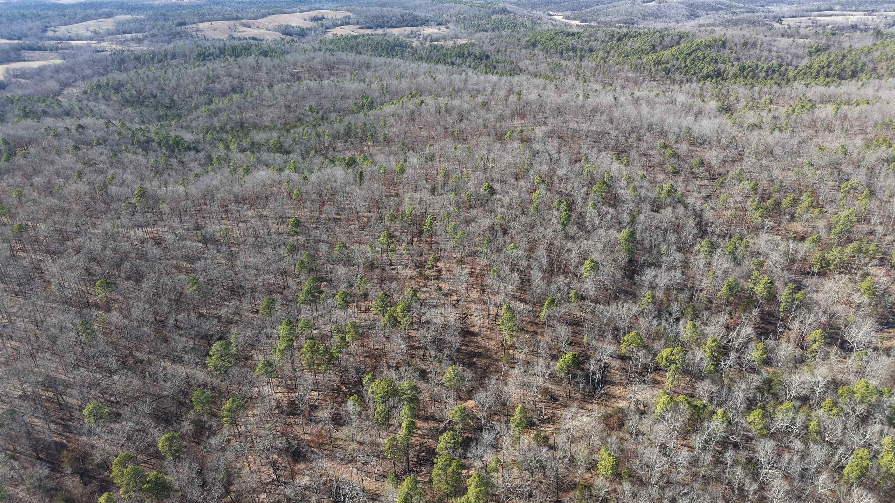 123 Campground Road  Wideman, AR