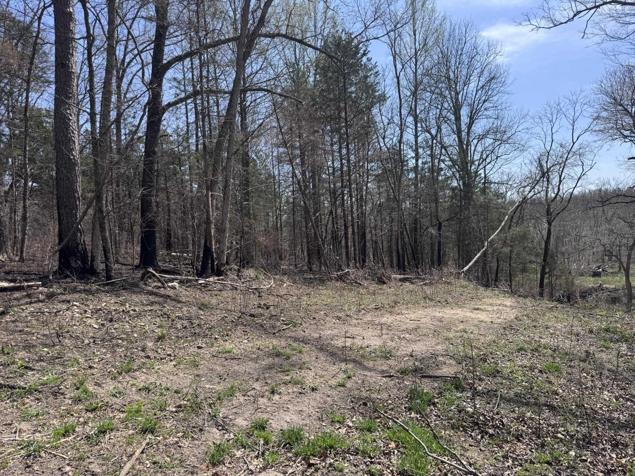 123 Campground Road  Wideman, AR