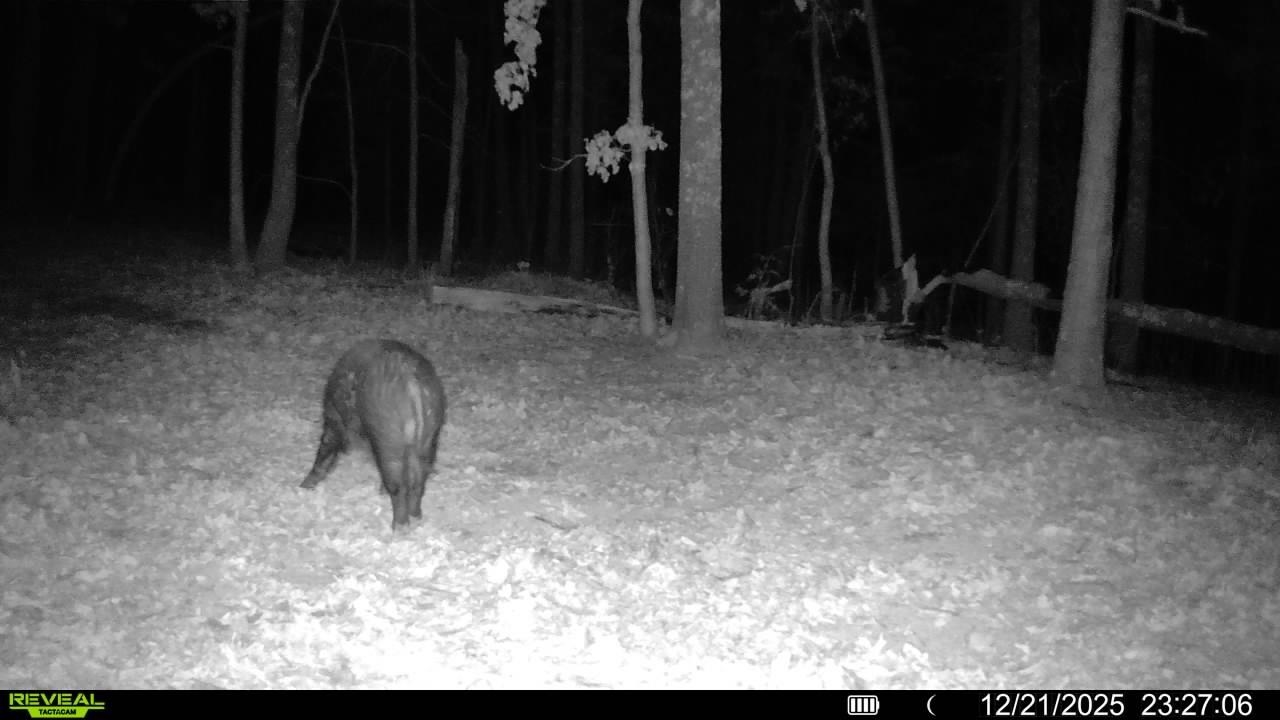 123 Campground Road  Wideman, AR