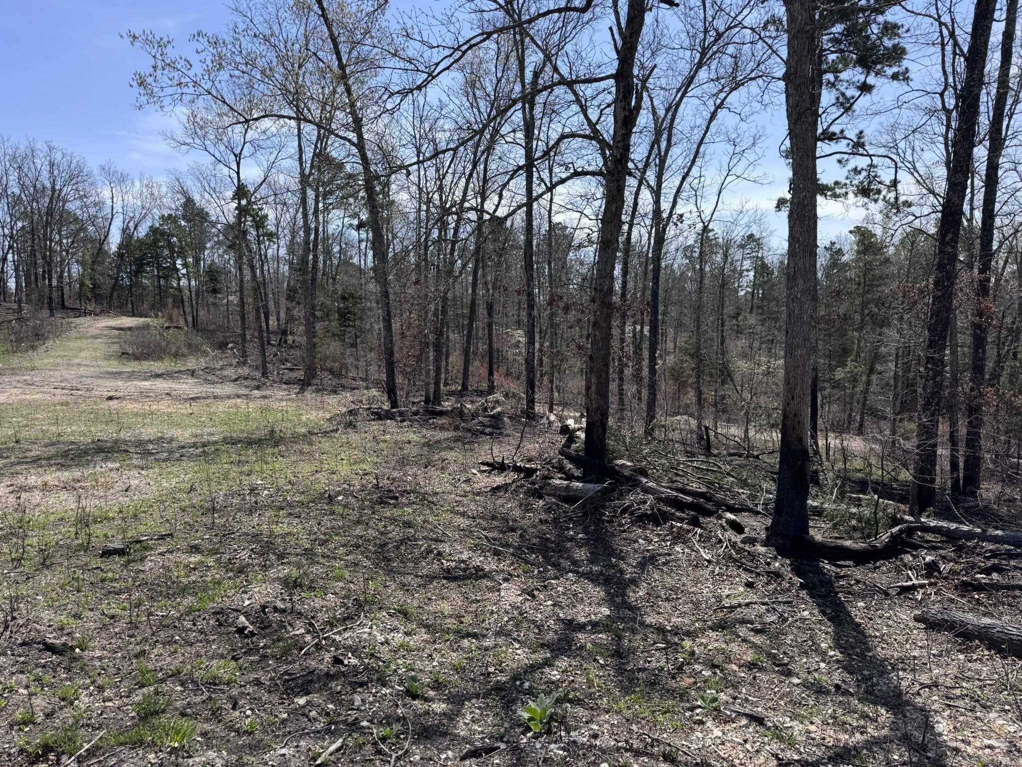 123 Campground Road  Wideman, AR