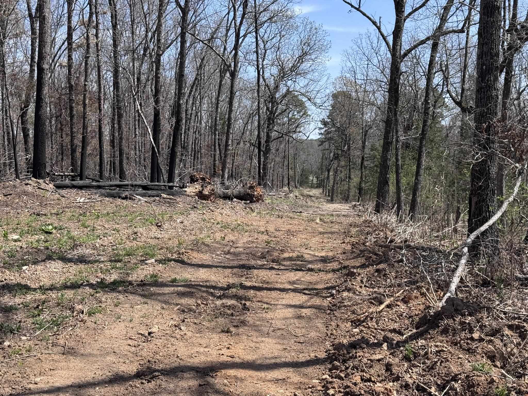 123 Campground Road  Wideman, AR