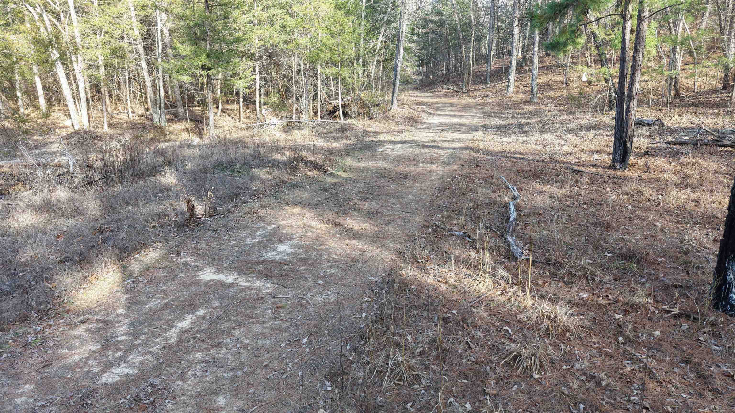 123 Campground Road  Wideman, AR