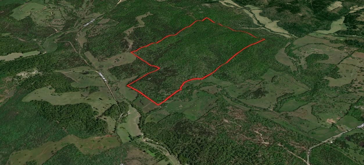 123 Campground Road  Wideman, AR