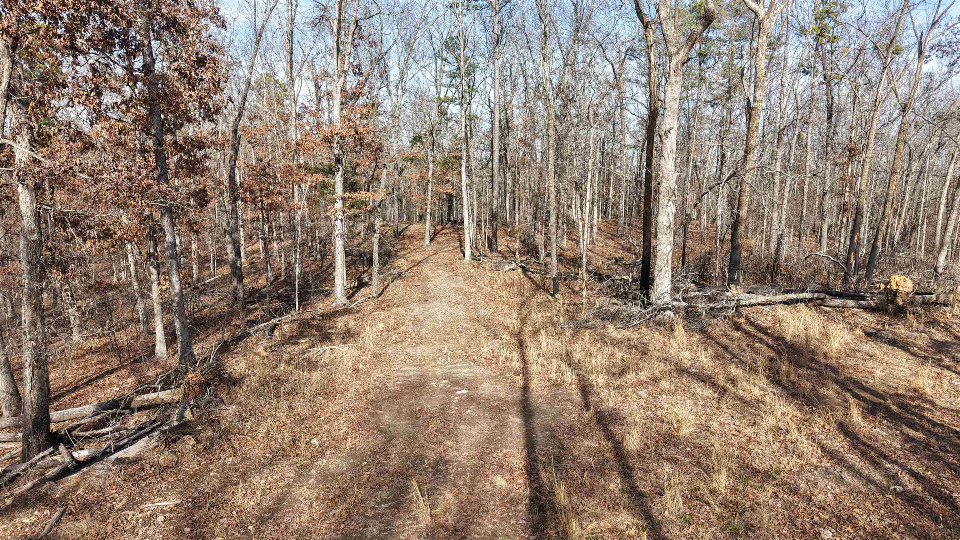 123 Campground Road  Wideman, AR