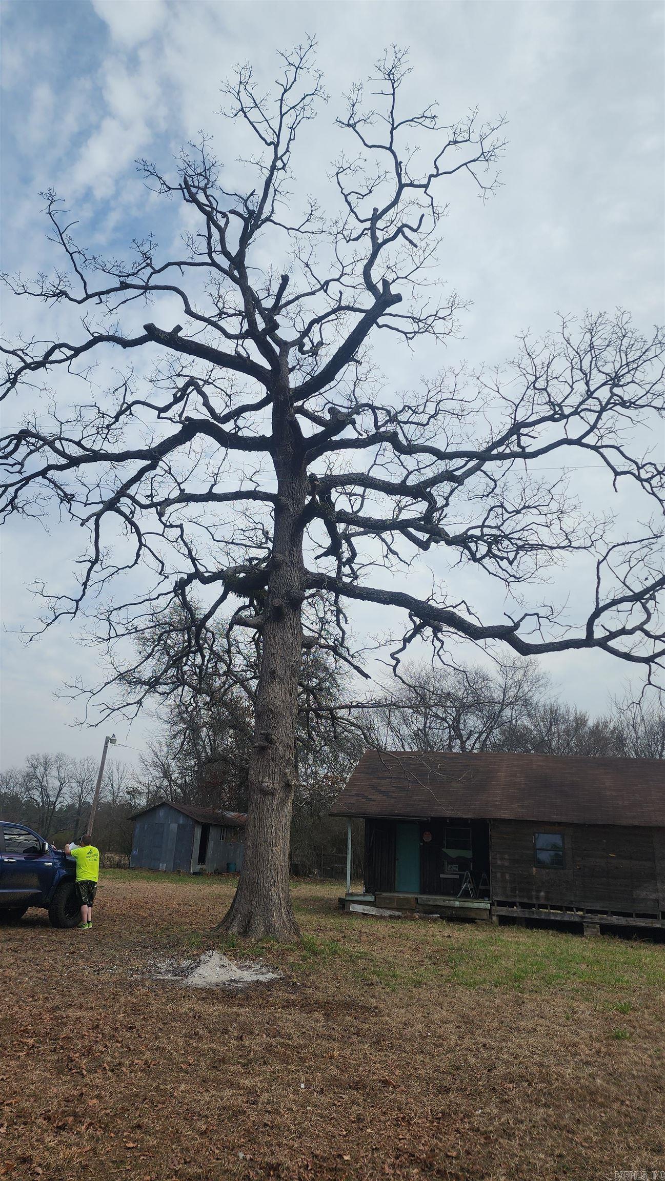 318 Dallas Rd 223  Sparkman, AR