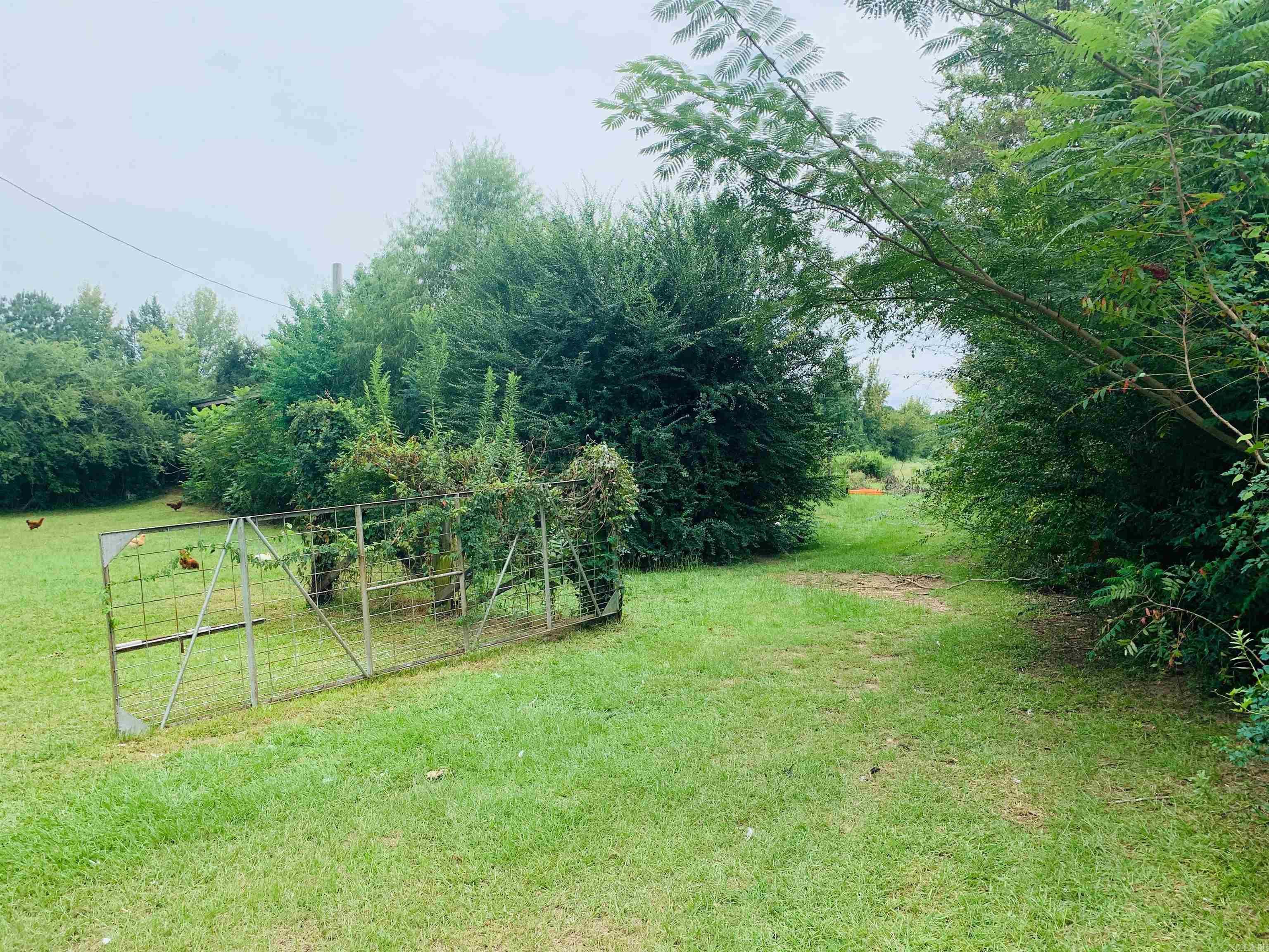 953 County Road 4114  Atlanta, TX