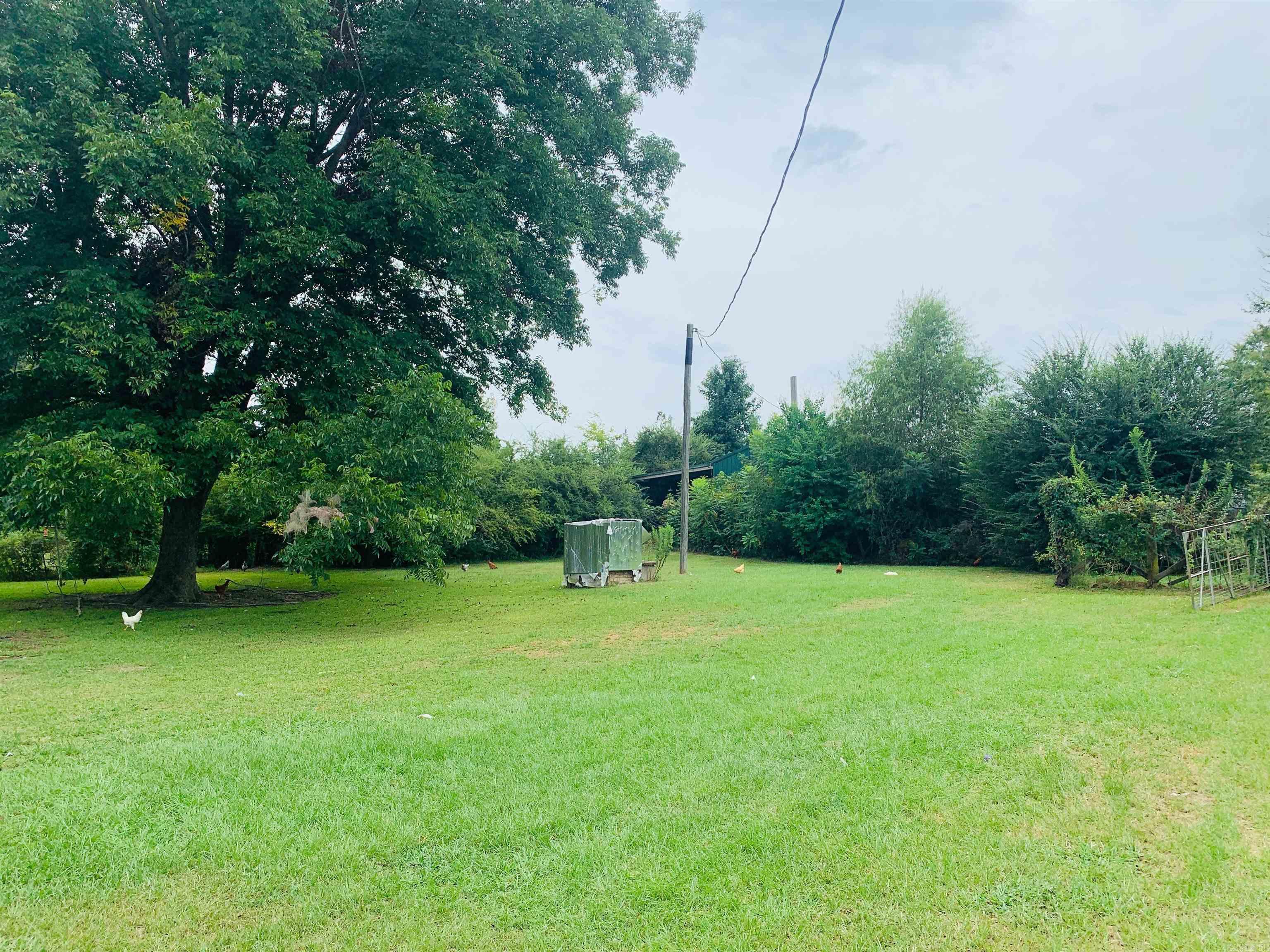 953 County Road 4114  Atlanta, TX