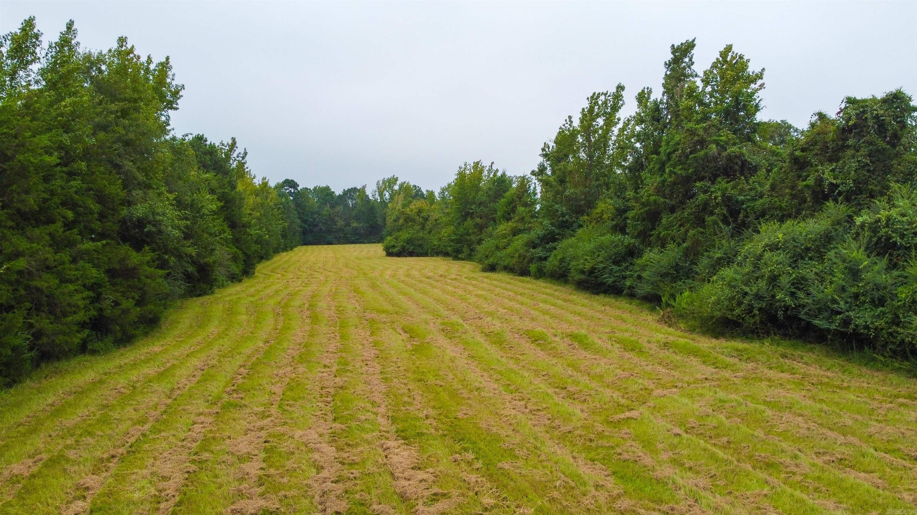 953 County Road 4114  Atlanta, TX