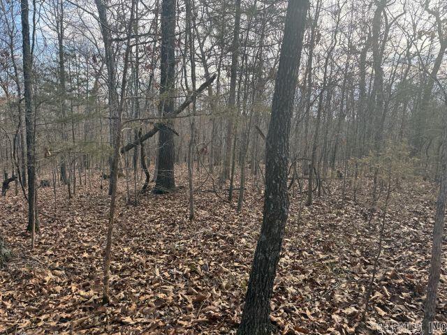 Tract 3 MC 8003  Yellville, AR