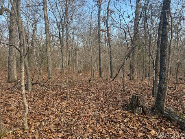 Tract 3 MC 8003  Yellville, AR