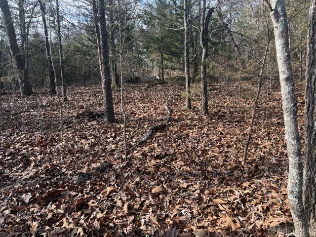 Tract 3 MC 8003  Yellville, AR