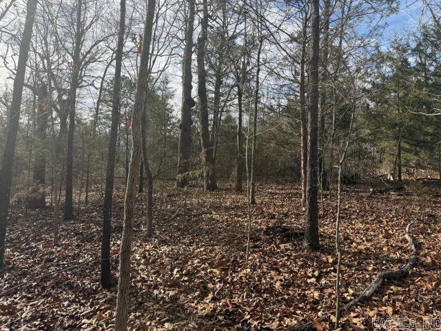 Tract 3 MC 8003  Yellville, AR