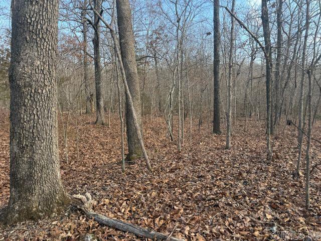 Tract 3 MC 8003  Yellville, AR