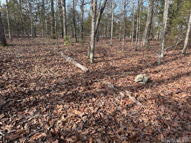 Tract 1 MC 8003  Yellville, AR