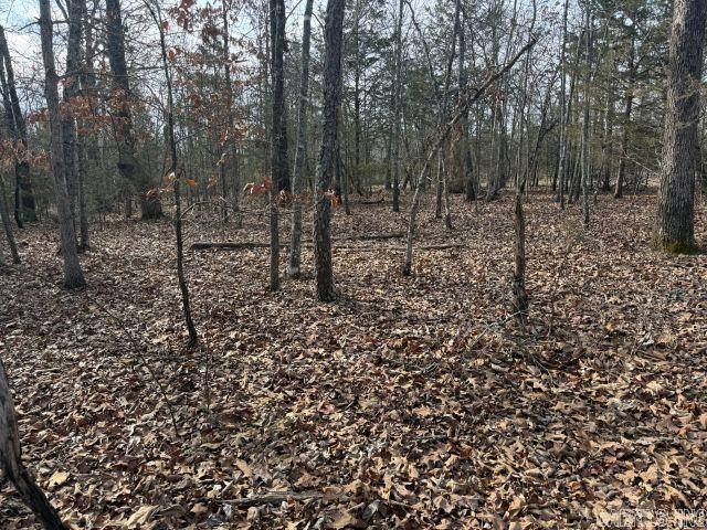 Tract 1 MC 8003  Yellville, AR