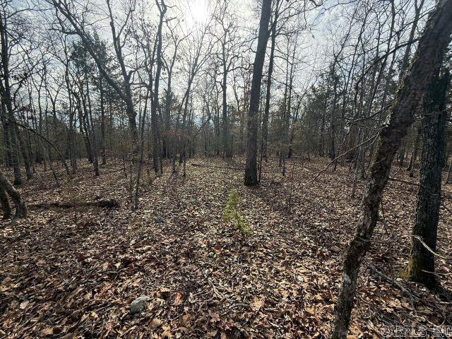 Tract 1 MC 8003  Yellville, AR