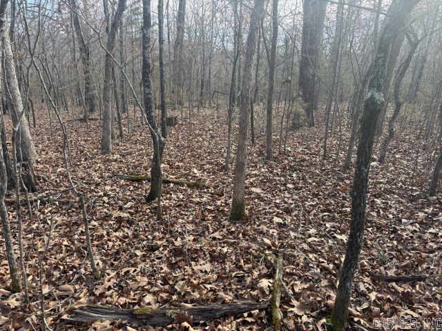 Tract 2 MC 8003  Yellville, AR