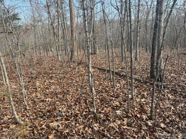 Tract 2 MC 8003  Yellville, AR