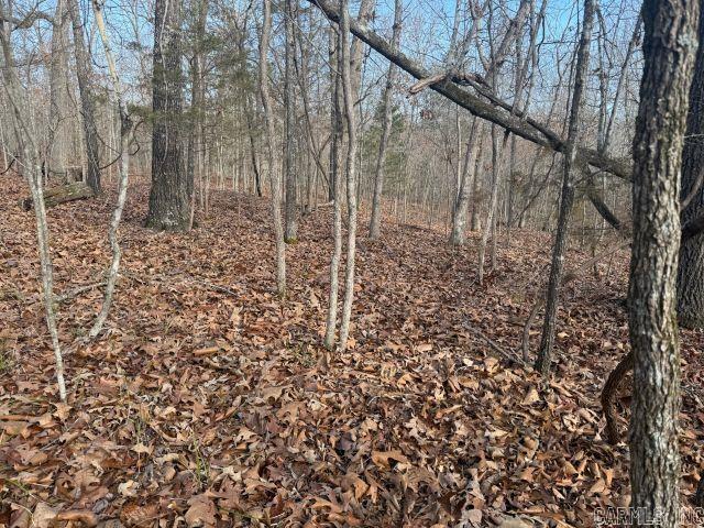 Tract 2 MC 8003  Yellville, AR