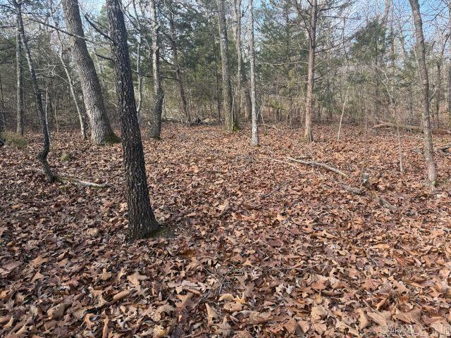 Tract 2 MC 8003  Yellville, AR