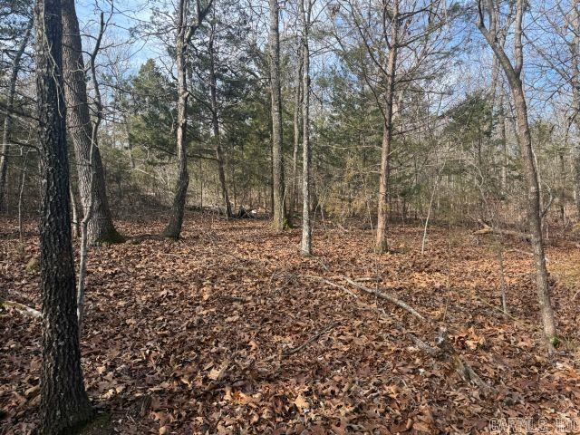 Tract 2 MC 8003  Yellville, AR