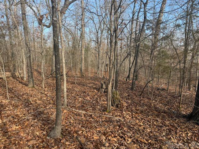 Tract 2 MC 8003  Yellville, AR